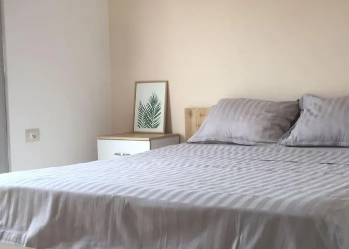 Bright Guest 15 Min By Bus To Center